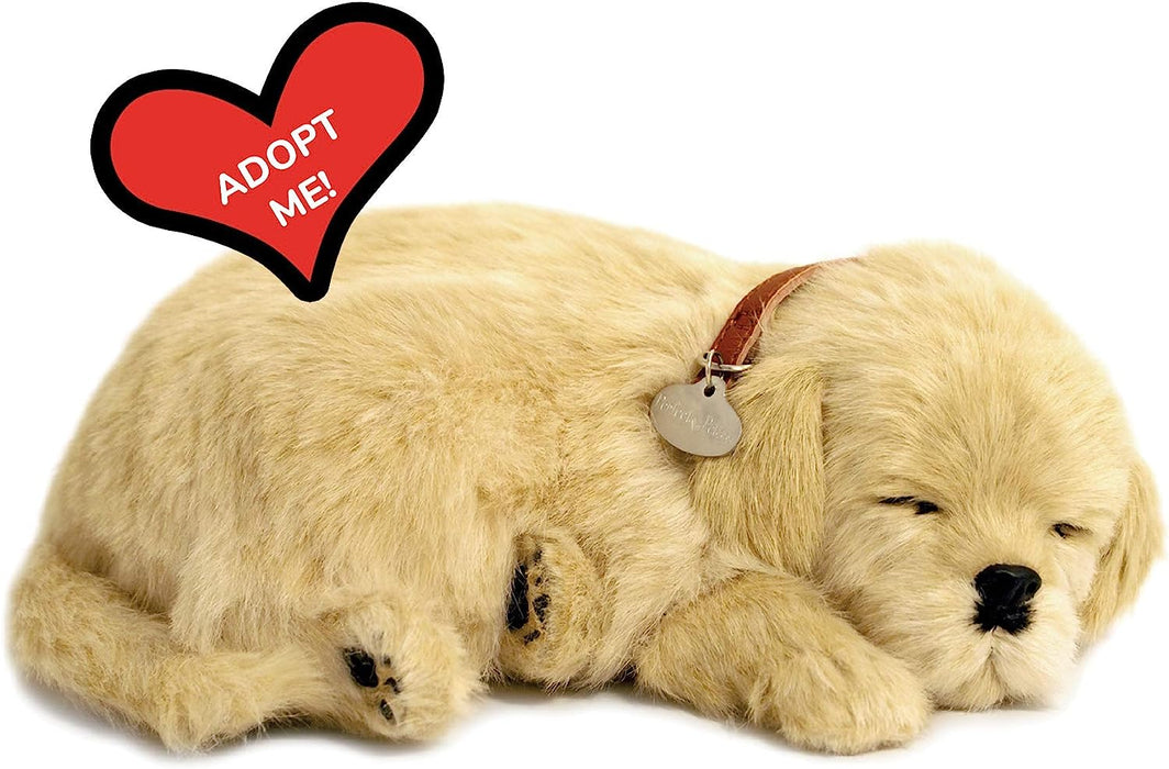 Golden Retriever Perfect Petzzz