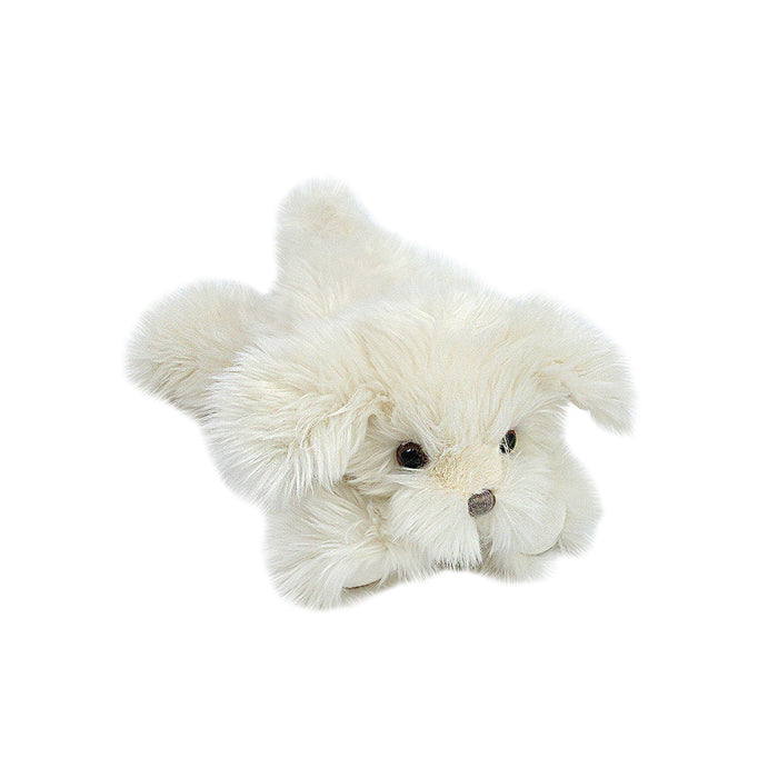 Sugar Maltese Puppy White Mon Ami