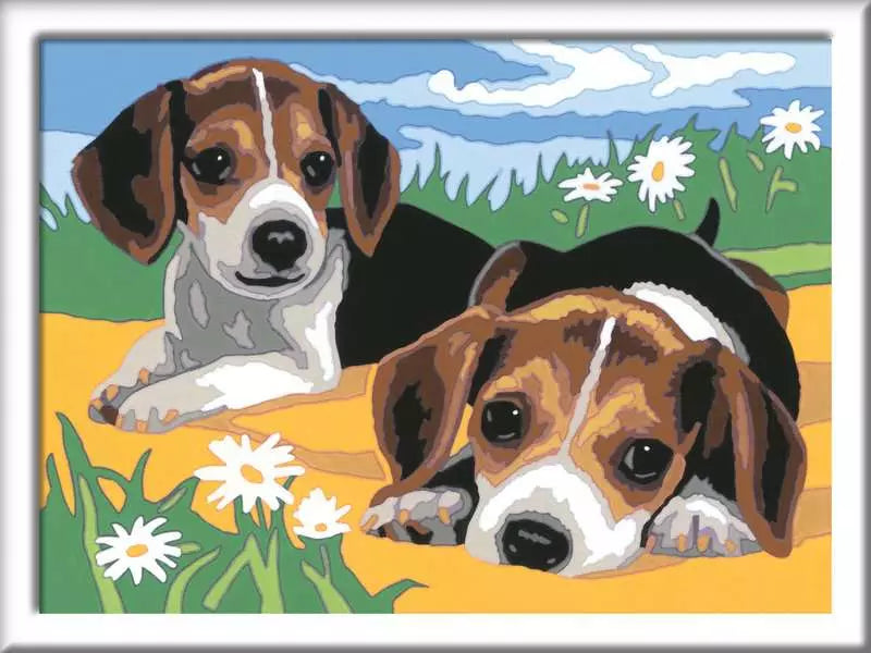 https://ravensburger.cloud/images/produktseiten/820x600/12023083.webp