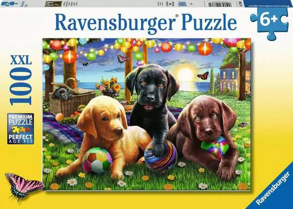 https://ravensburger.cloud/images/produktseiten/600x600/12886.webp