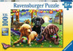 https://ravensburger.cloud/images/produktseiten/520x445/12886.webp