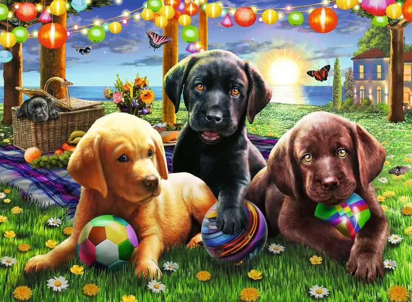 https://ravensburger.cloud/images/produktseiten/820x600/12886_1.webp
