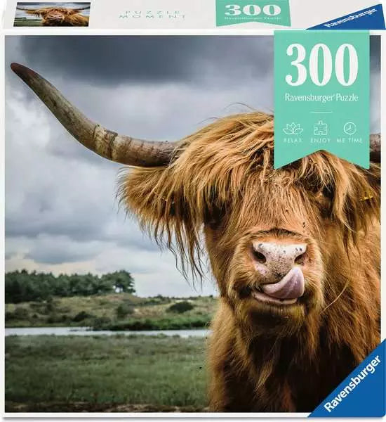 https://ravensburger.cloud/images/produktseiten/820x600/13273.webp