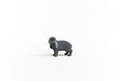 https://cdn.shopify.com/s/files/1/0761/9818/3222/products/13935_Lop-Eared_Rabbit_02.jpg?v=1695745309