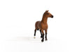 https://cdn.shopify.com/s/files/1/0761/9818/3222/products/13945_Oldenburg_Mare_01.jpg?v=1695745285