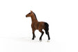 https://cdn.shopify.com/s/files/1/0761/9818/3222/products/13945_Oldenburg_Mare_04.jpg?v=1695745285