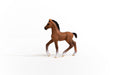 https://cdn.shopify.com/s/files/1/0761/9818/3222/products/13947_Oldenburg_Foal_01.jpg?v=1695745283