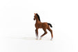 https://cdn.shopify.com/s/files/1/0761/9818/3222/products/13947_Oldenburg_Foal_02.jpg?v=1695745283