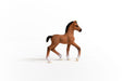 https://cdn.shopify.com/s/files/1/0761/9818/3222/products/13947_Oldenburg_Foal_03.jpg?v=1695745283