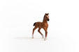https://cdn.shopify.com/s/files/1/0761/9818/3222/products/13947_Oldenburg_Foal_04.jpg?v=1695745283