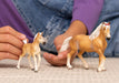 https://cdn.shopify.com/s/files/1/0761/9818/3222/files/13950_13951_HC_HaflingerMare_Foal_cropped_quer_RGB_dfe865a3-f20f-4124-935d-c57b65fce5d2.jpg?v=1707154938