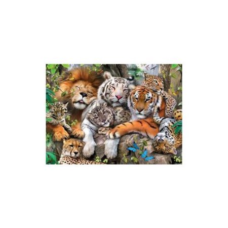 BIG CAT NAP 200PC