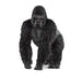 https://cdn.shopify.com/s/files/1/0761/9818/3222/products/14770_main_v17_TP.jpg?v=1695745707