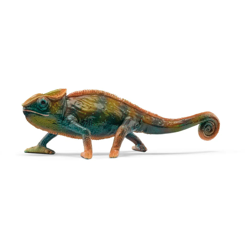 Gecko Color Changing