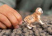 https://cdn.shopify.com/s/files/1/0761/9818/3222/products/14866_WL_CheetahBaby_cropped_quer_RGB.jpg?v=1695745744