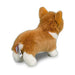 Douglas Louie Corgi Soft Plush Toy