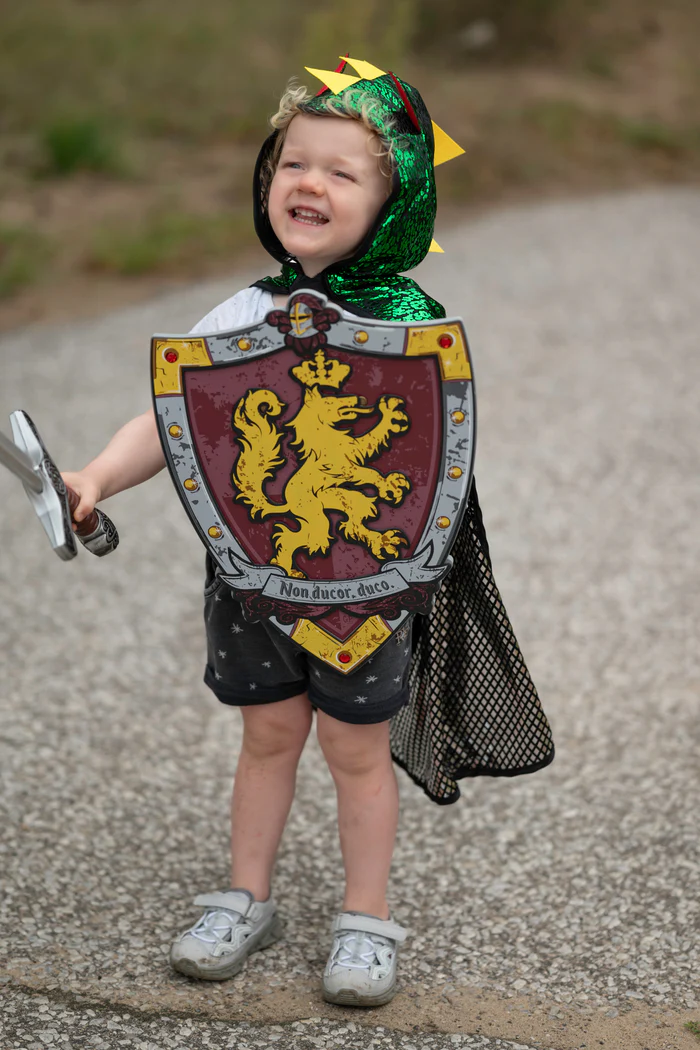 Knights Honour Shield