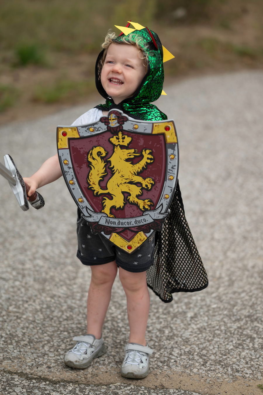 Knights Honour Sword