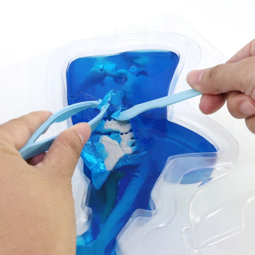 Dissect It Super Shark Lab