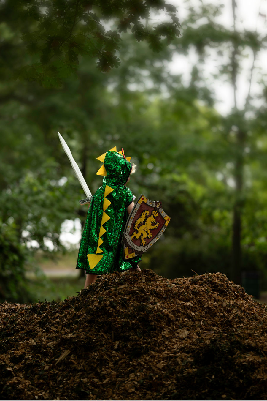 Knights Honour Sword