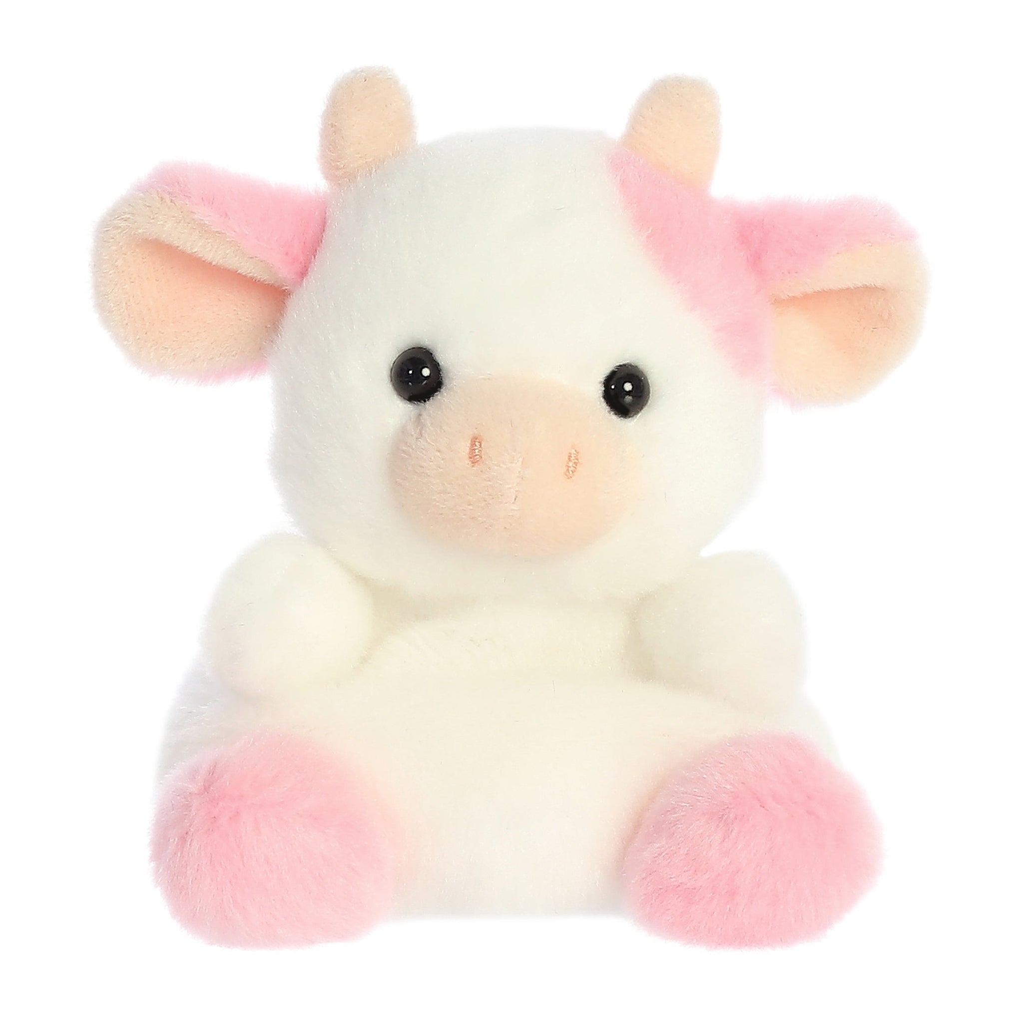 https://cdn.shopify.com/s/files/1/0565/7578/7180/products/33765.jpg?v=1746133463