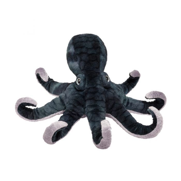 Winky Octopus