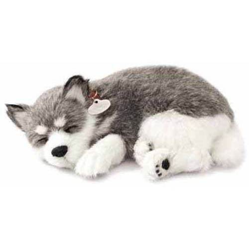 Alaskan Husky Perfect Petzzz