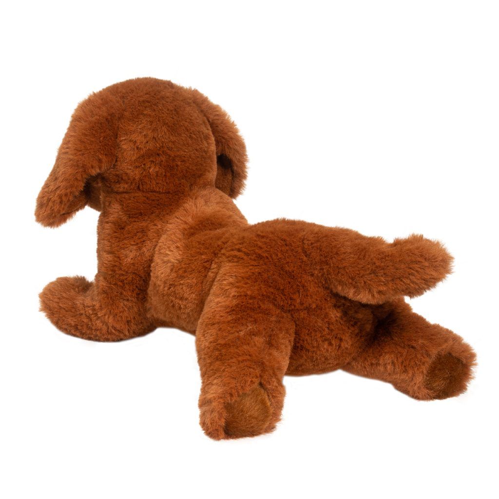 Delanie Dachshund