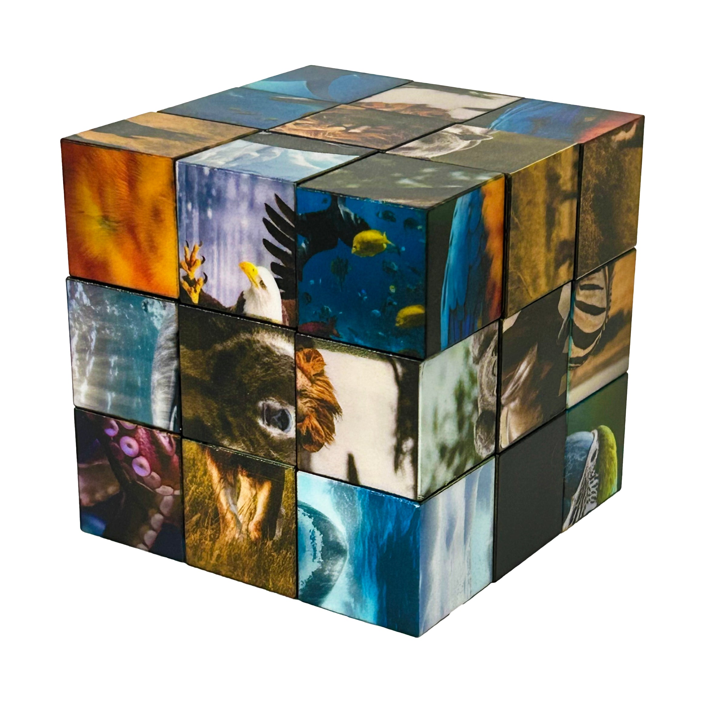 Click Blocks - Magnetic 27 pc Animals Puzzle