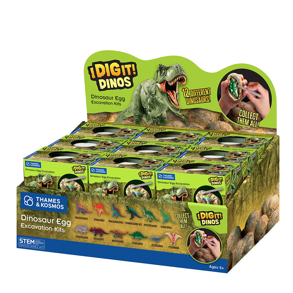 I Dig It Dino Singles in a Box