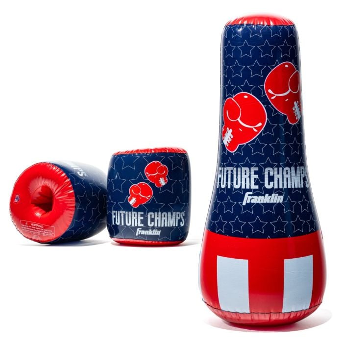 Punching Bag & Gloves