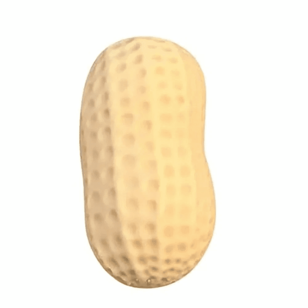 Jumbo Realistic Slow Rising Peanut Squishy Toy 2026