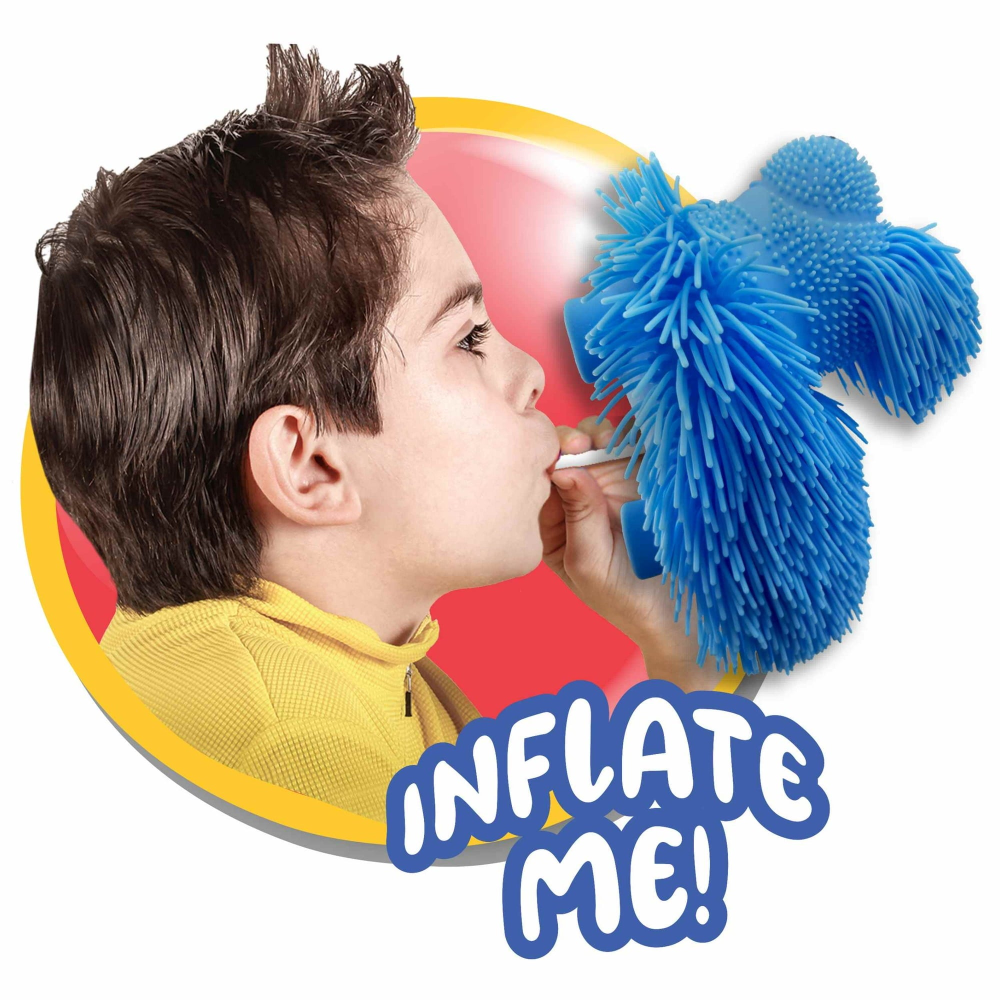 Furry Friend Shaggy Dog