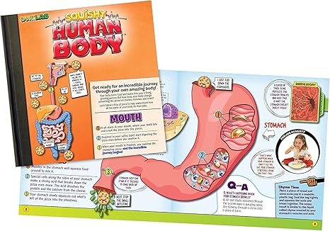 Squishy Human Body