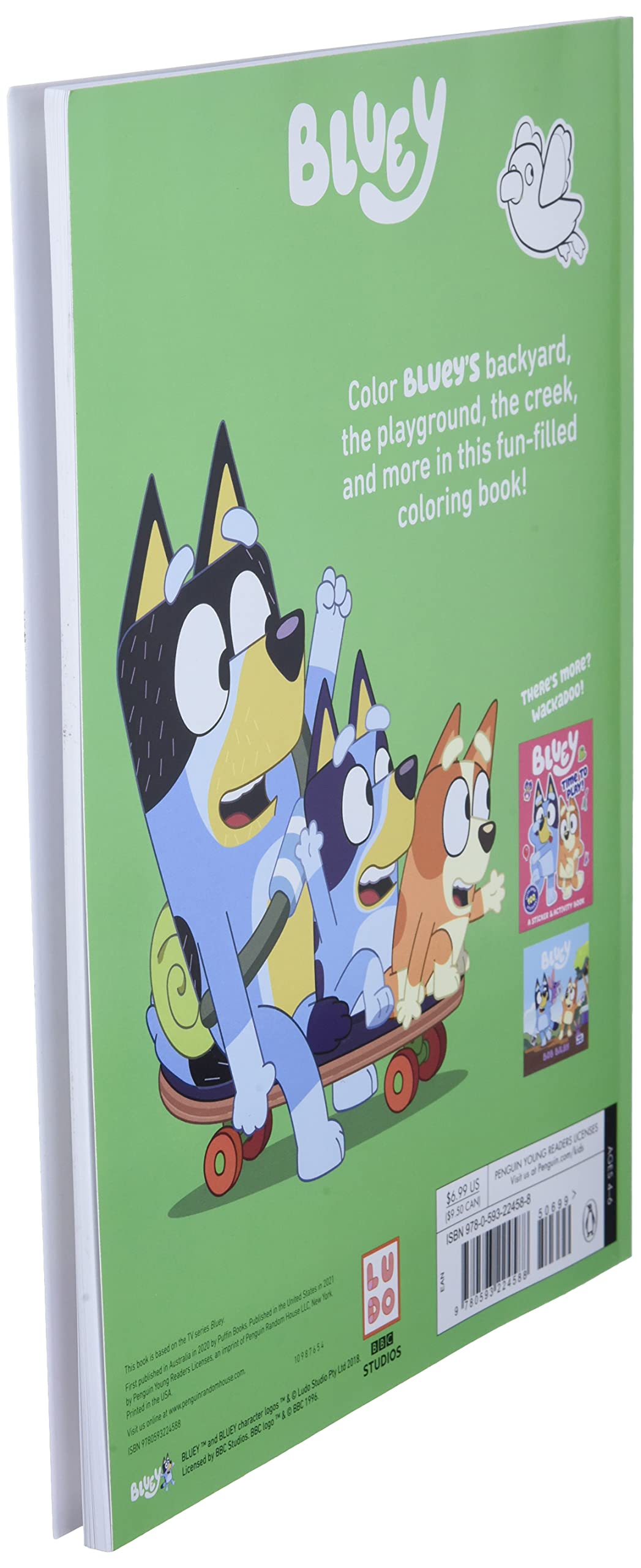 Bluey Coloring Book