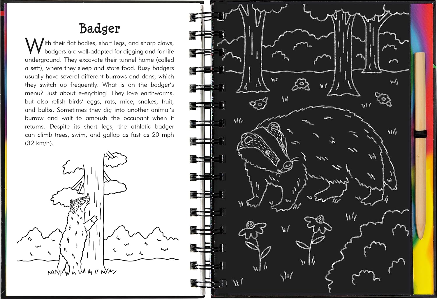 Nocturnal Animals Scratch & Sketch Book