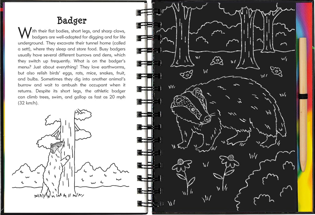 Nocturnal Animals Scratch & Sketch Book