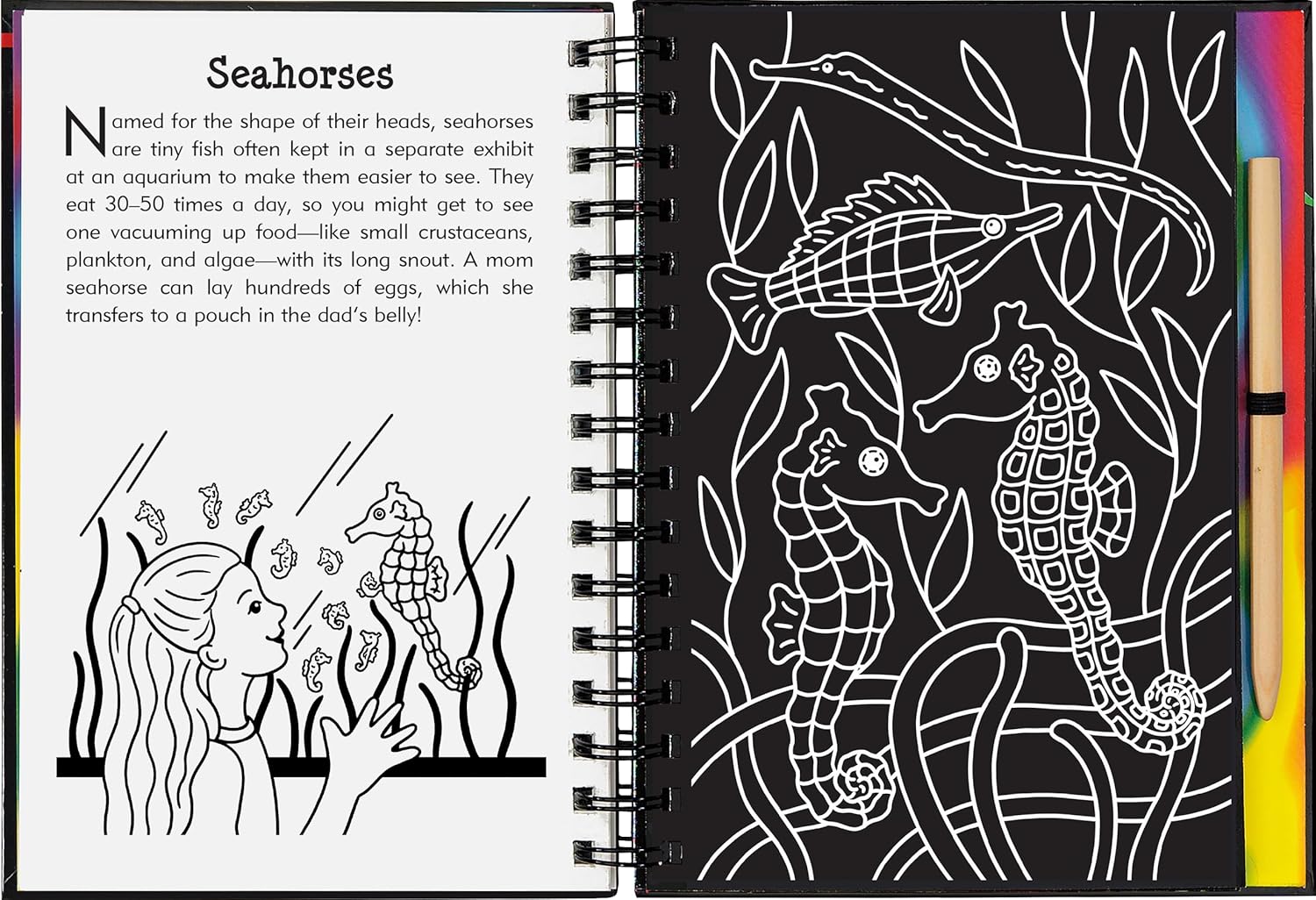 At the Aquarium Scratch and Sketch Book
