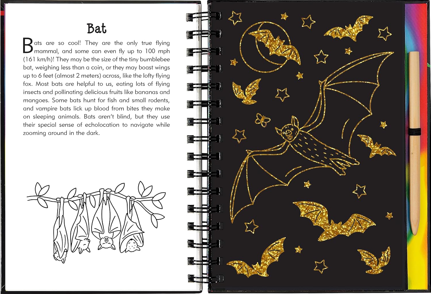 Nocturnal Animals Scratch & Sketch Book