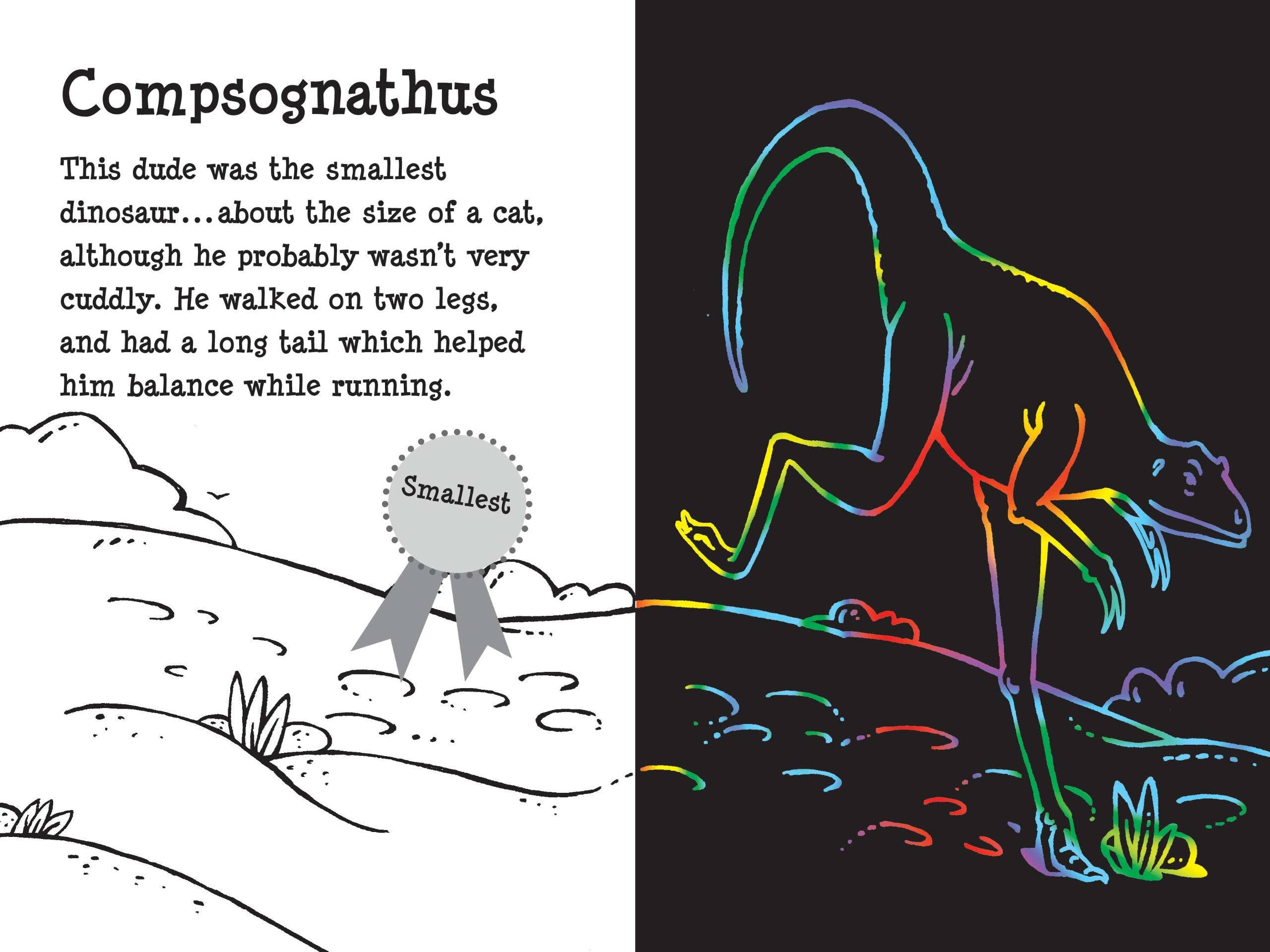 Dino Dudes Scratch and Sketch Book