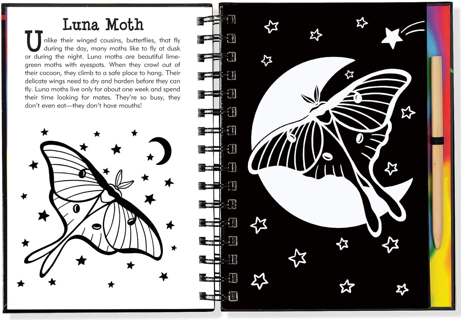 Butterflies and Friends Scratch and Sketch Book