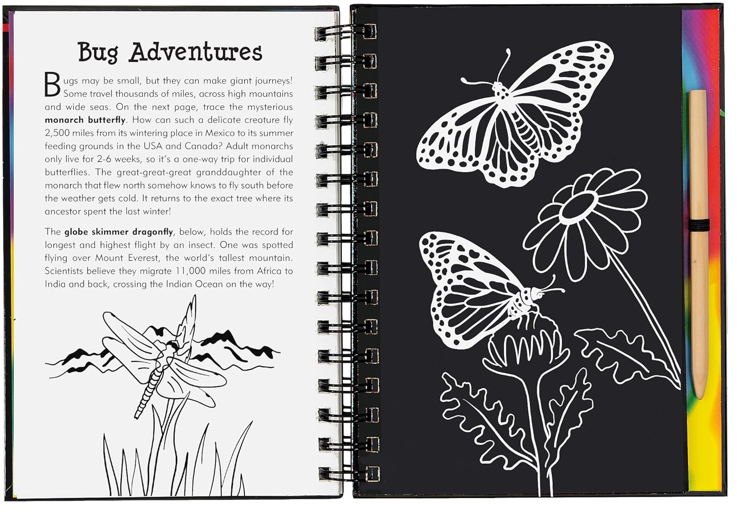 Bugs Scratch and Sketch Book