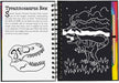 Peter Pauper Press Scratch and Sketch Jurassic Art Activity Book