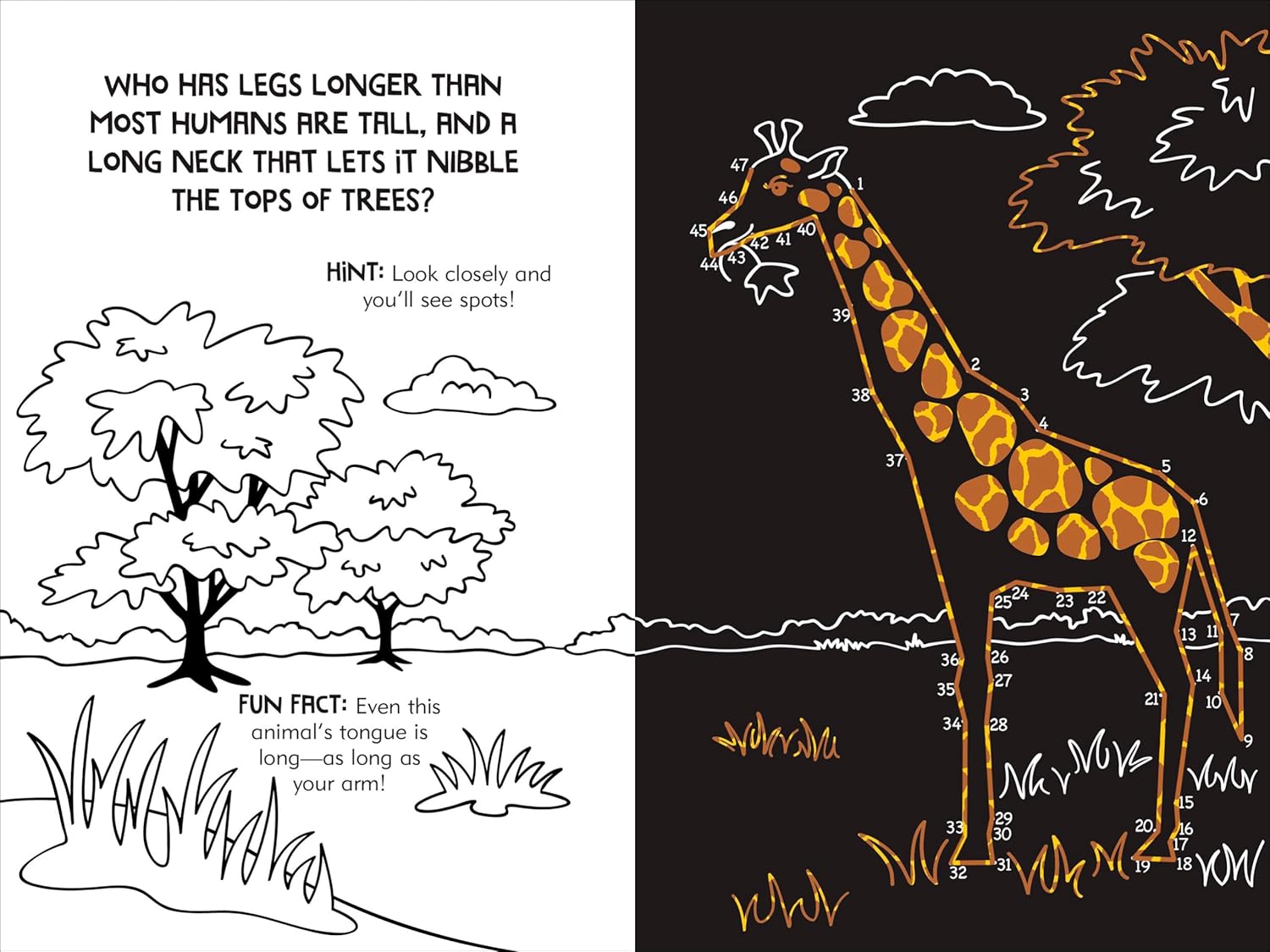 Dot to Dot Animals Scratch and Sketch Book