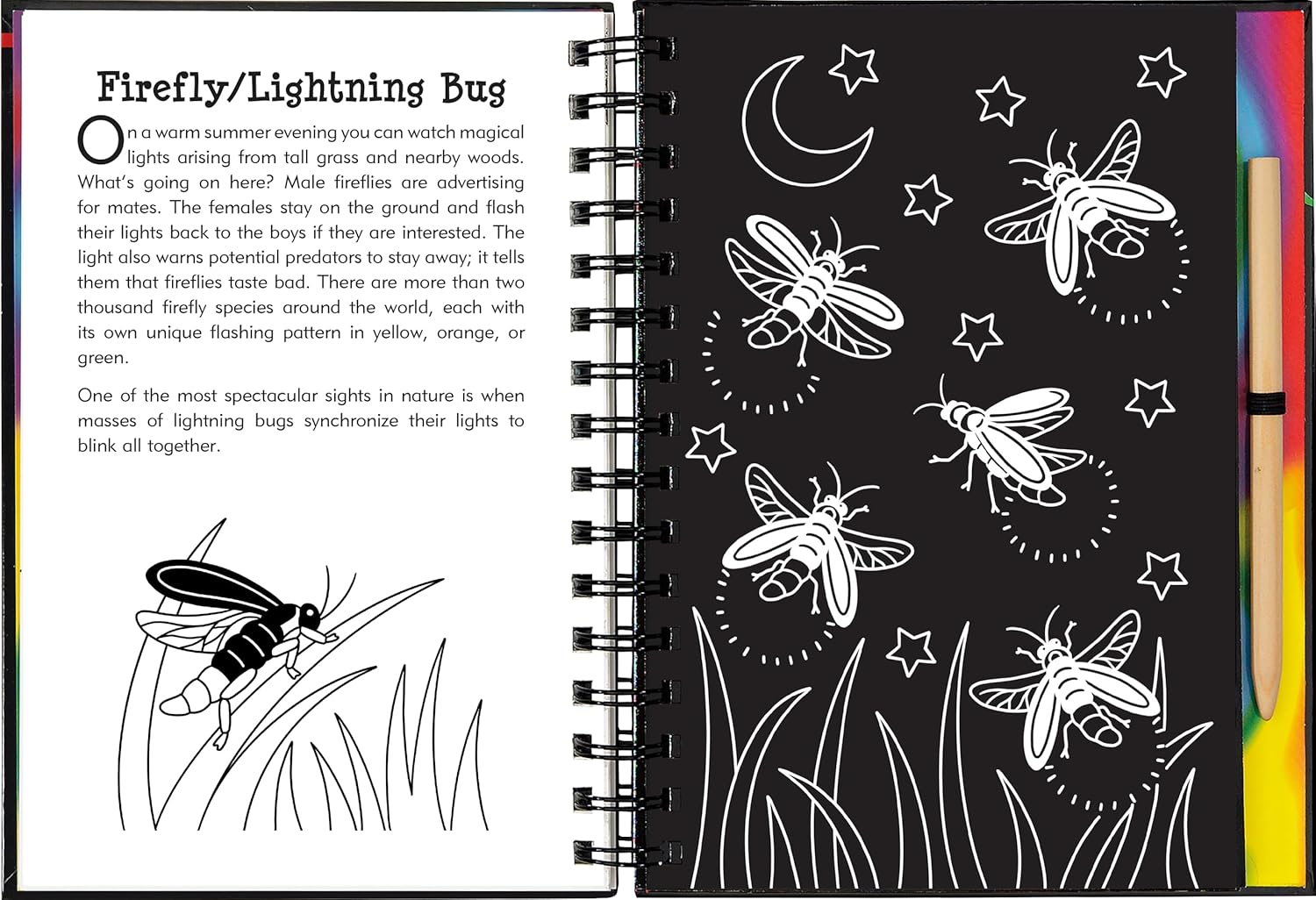 Nocturnal Animals Scratch & Sketch Book