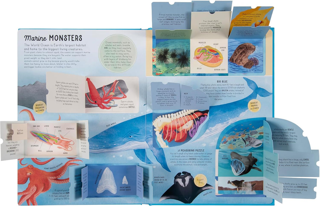 Ultimate Lift the Flap Encyclopedia of Oceans Hardback Book