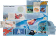 Ultimate Lift the Flap Encyclopedia of Oceans Hardback Book