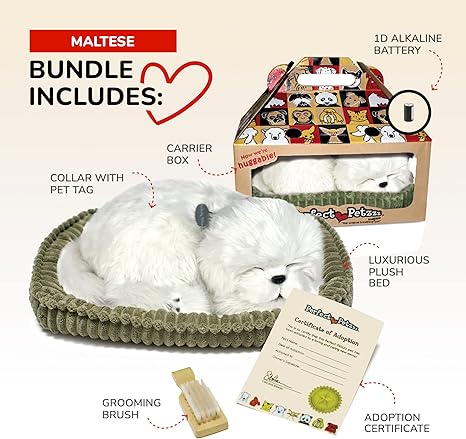 Perfect Petzzz Maltese
