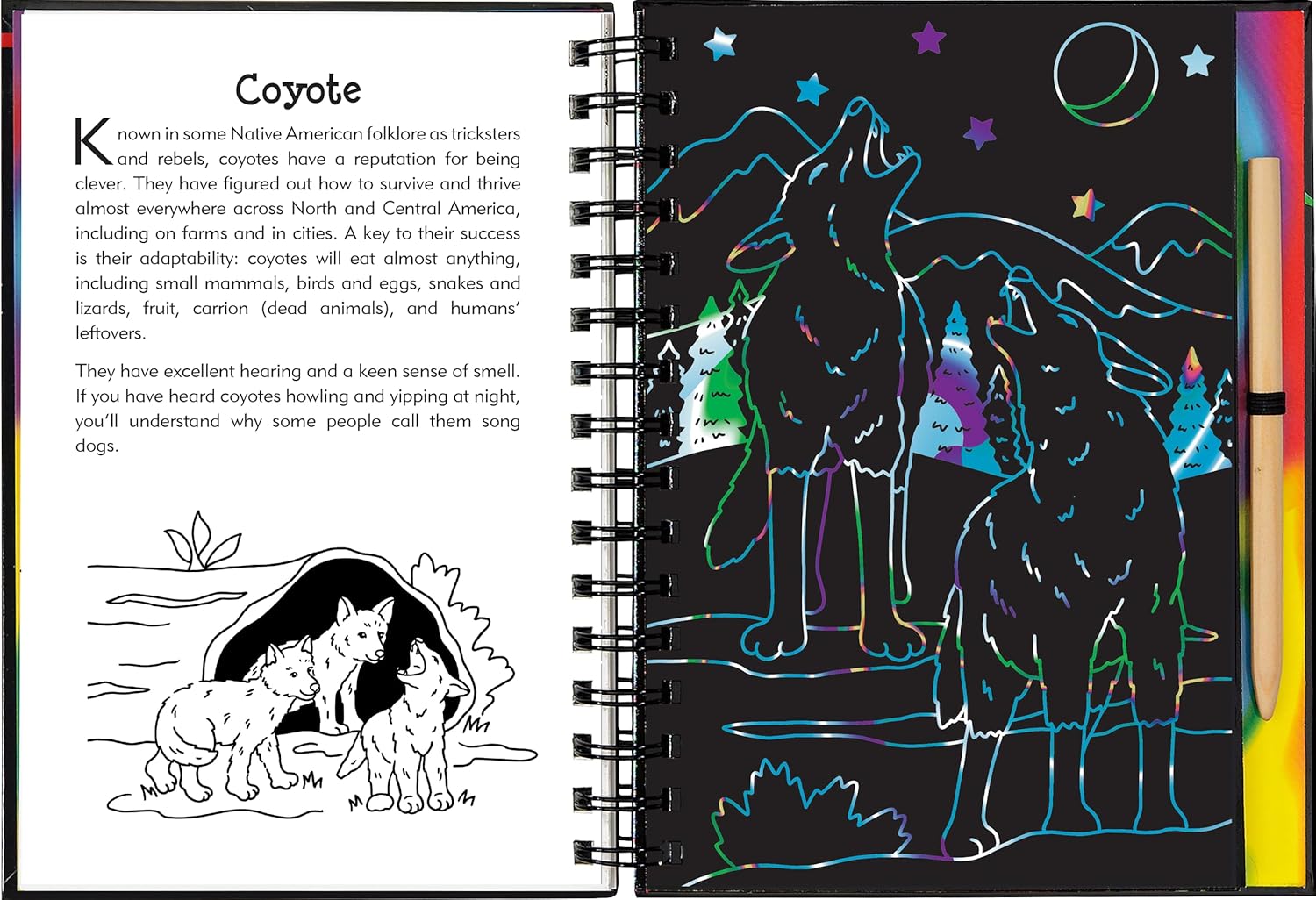 Nocturnal Animals Scratch & Sketch Book