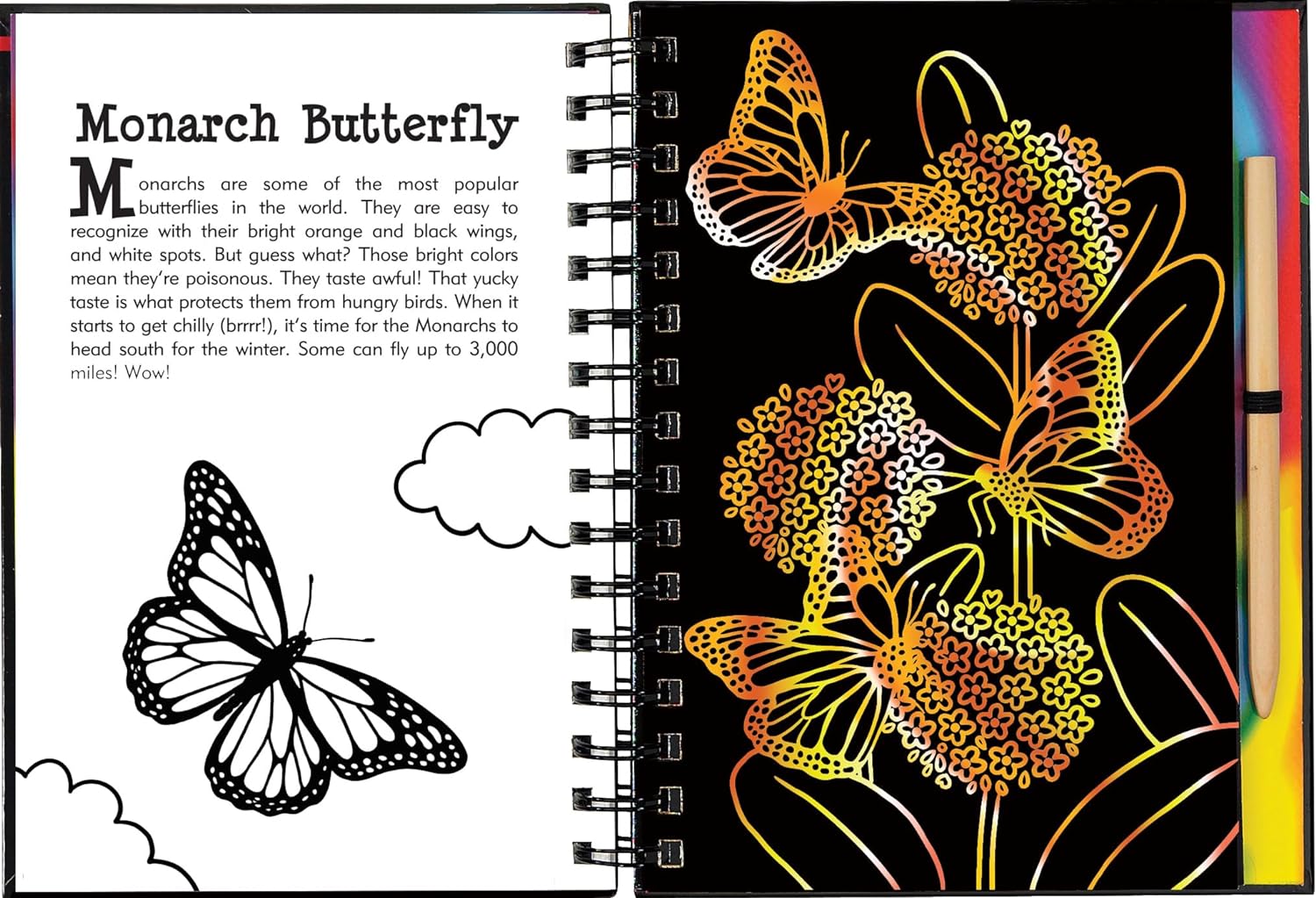 Butterflies and Friends Scratch and Sketch Book